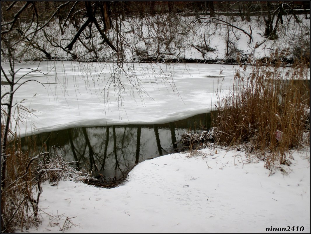Зимним днём на берегу реки - Нина Бутко
