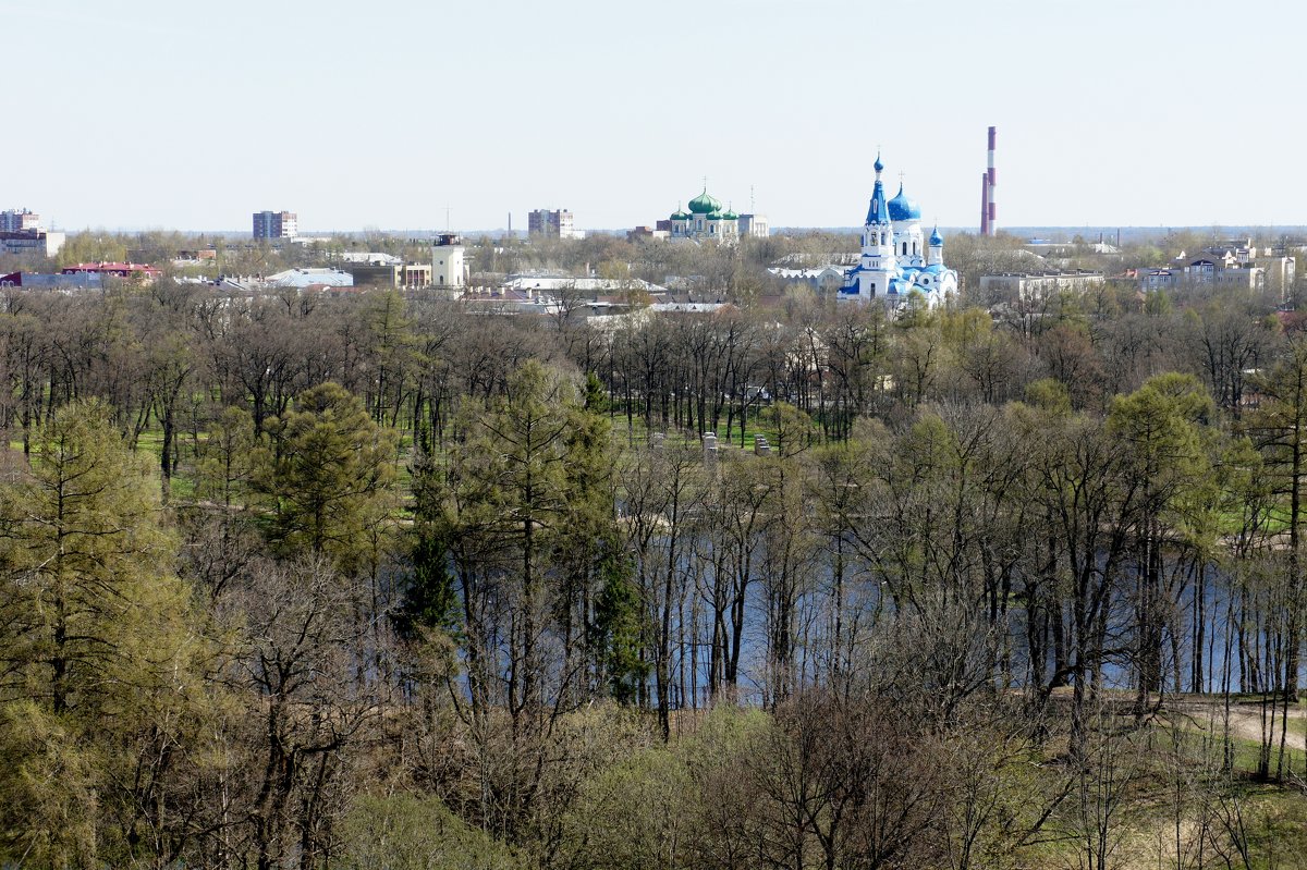 Вид на Гатчину с верхней смотровой площадки Сигнальной башни дворца - Елена Павлова (Смолова)