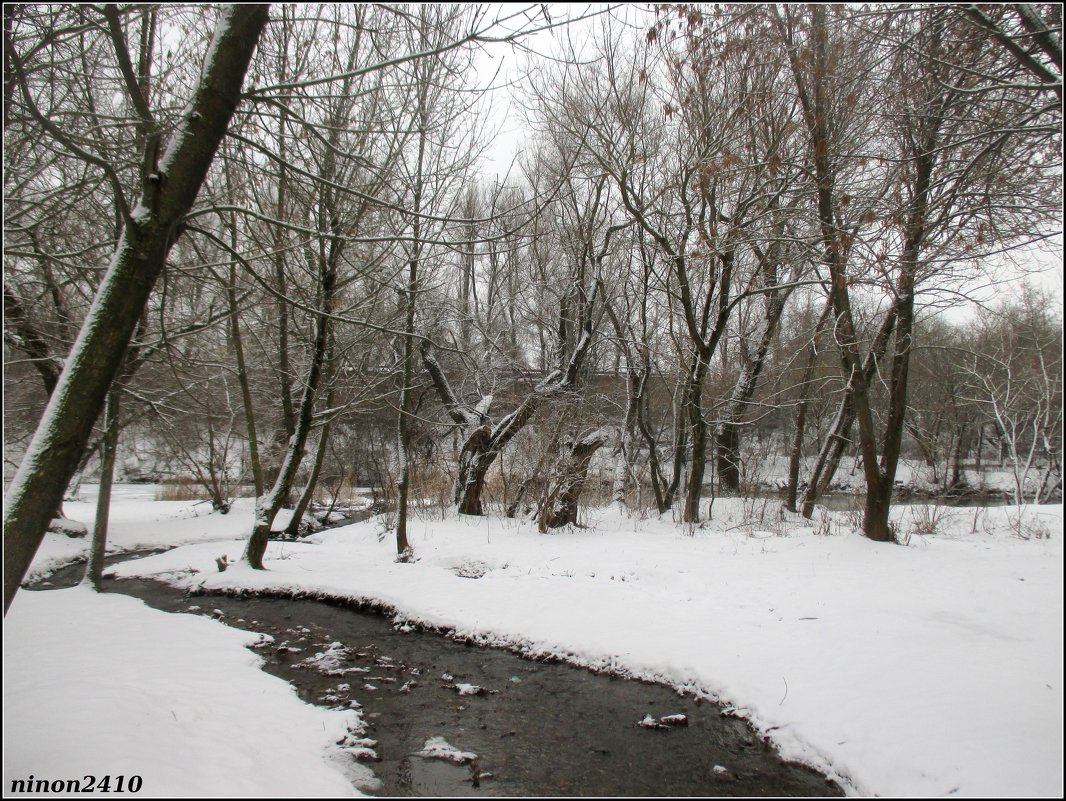 Ручей в зимнем парке - Нина Бутко