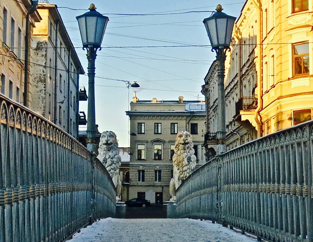 Львиный мост через канал Грибоедова - Елена 