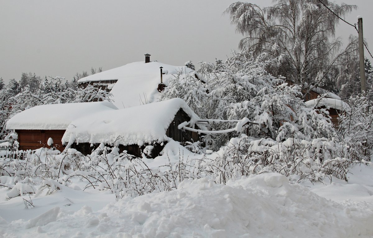 *** - Лара (АГАТА)