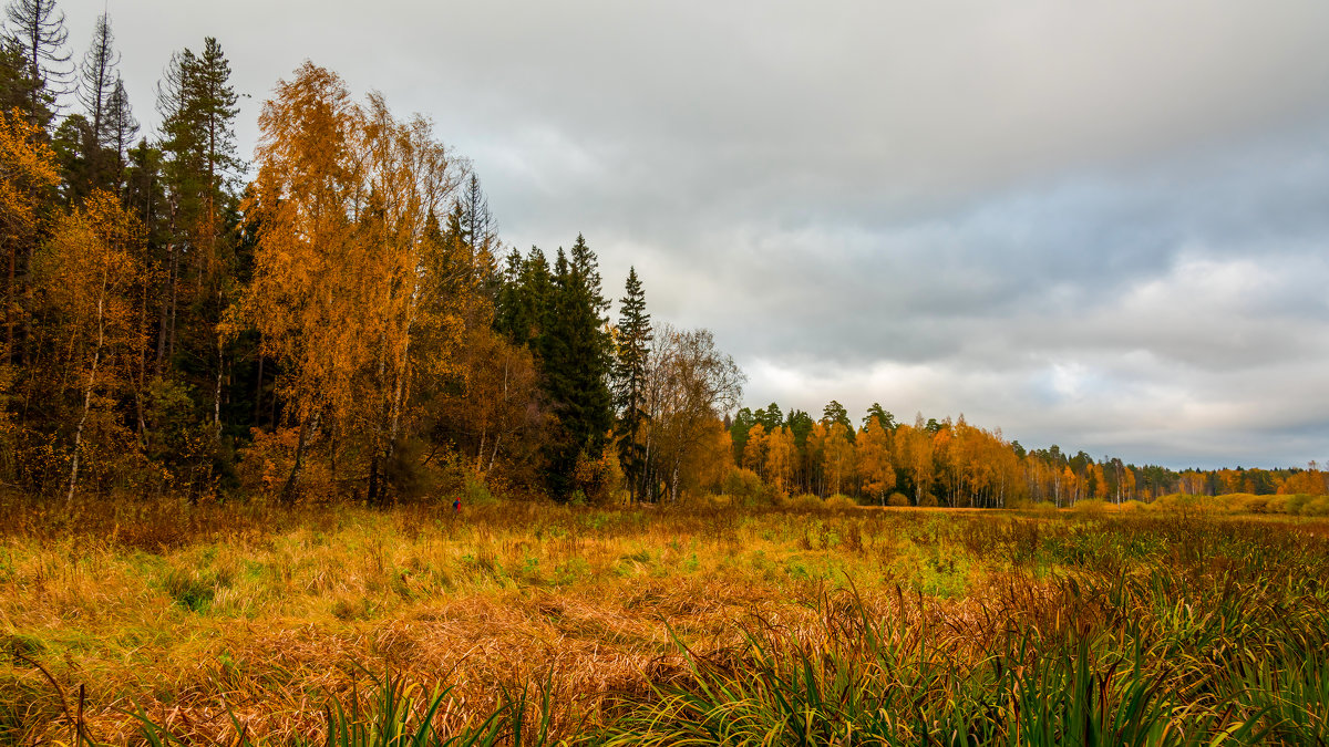 Осенний пейзаж. - Владимир Лазарев
