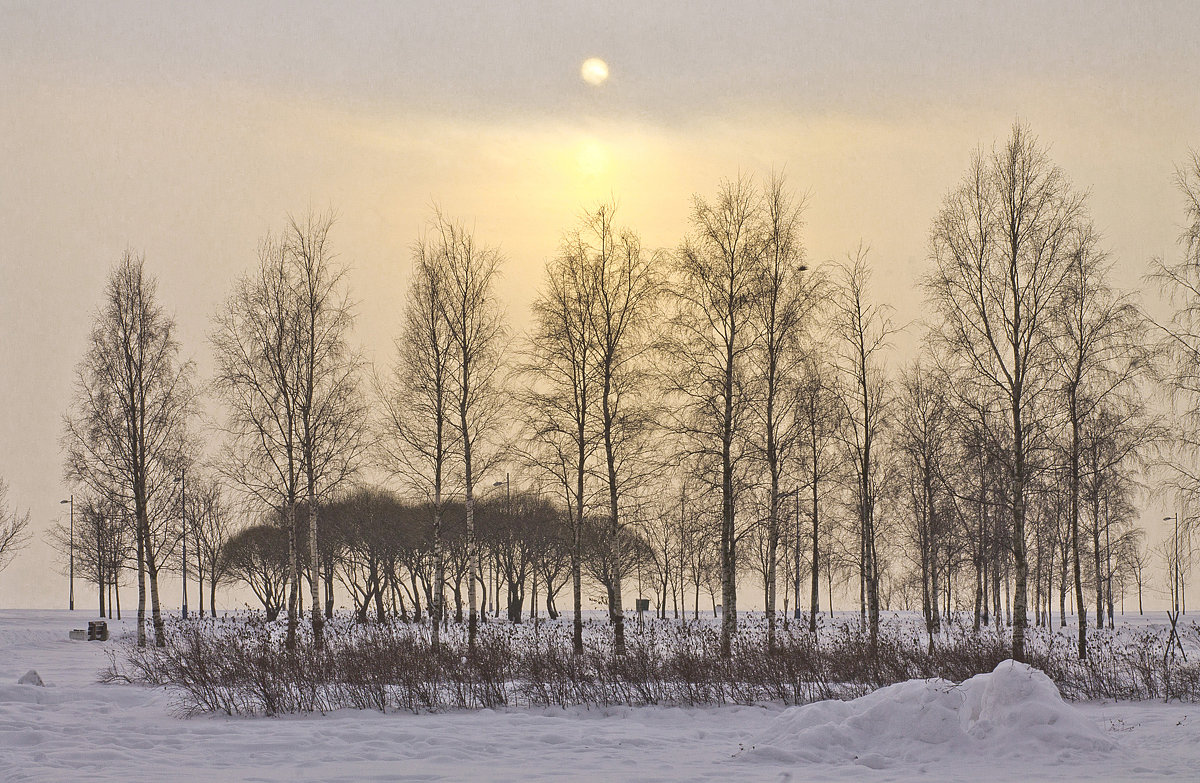 Желток солнца на зимнем небе... - Senior Веселков Петр