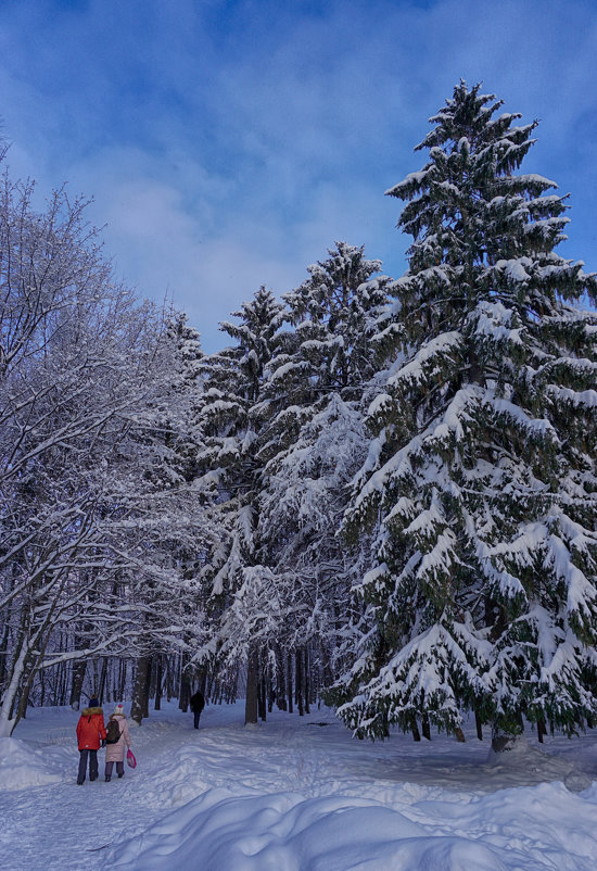 Снежный февраль - Ольга 