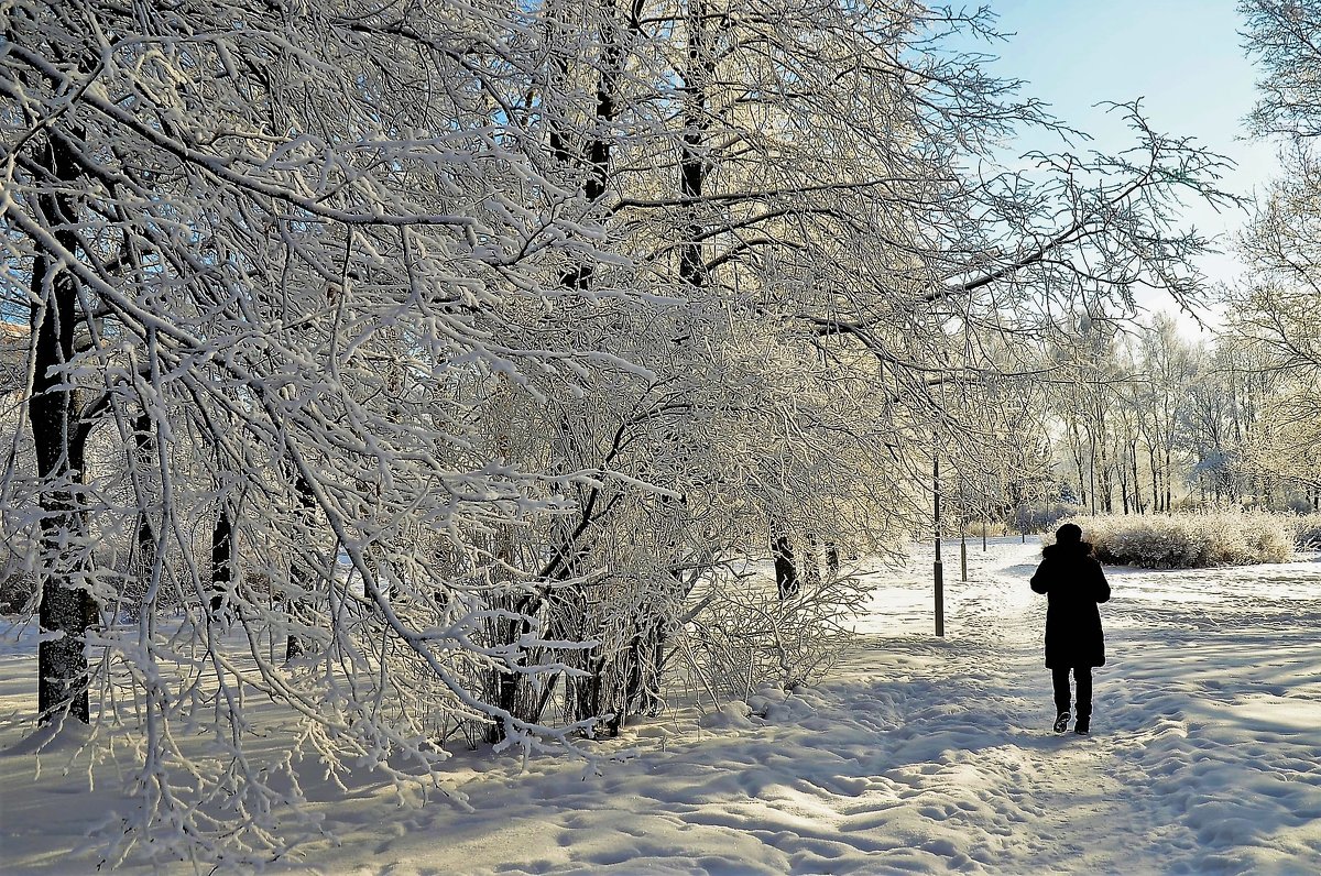 В глубине зимнего парка... - Sergey Gordoff