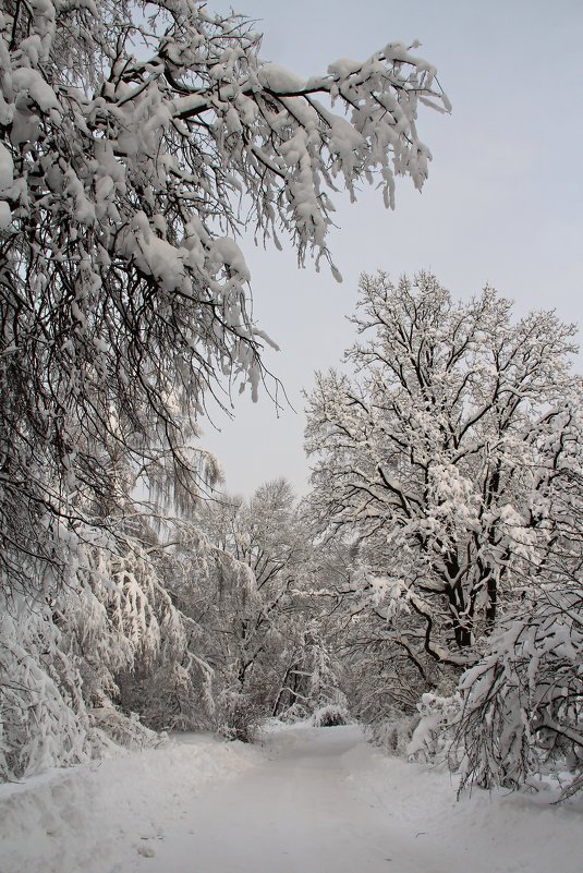 *** - Лара (АГАТА)