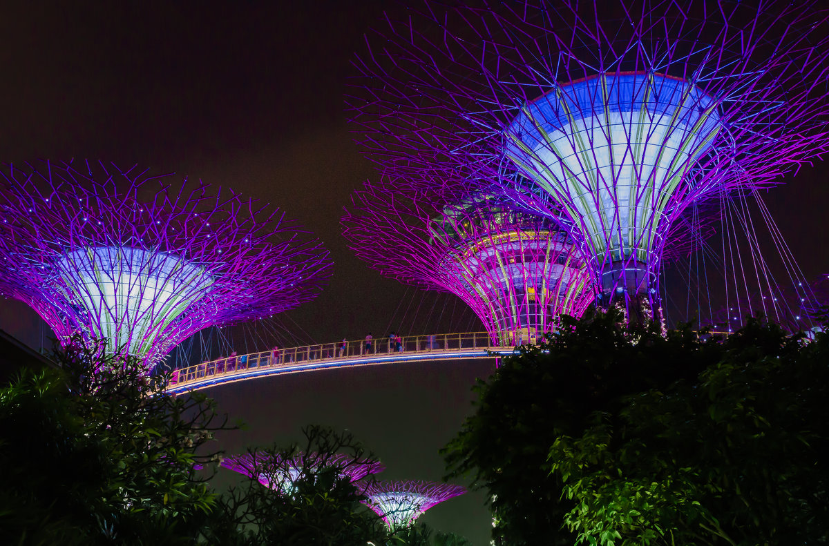Световое шоу Supertree Grove, Сингапур. - Edward J.Berelet