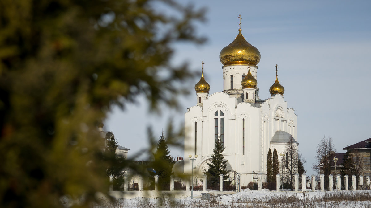 Храм Рождества Христова - Геннадий 