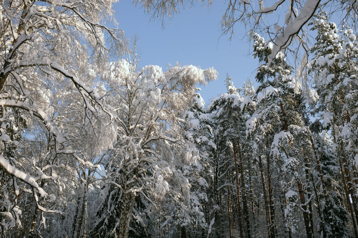 Зима, февраль 2018 г - Вячеслав 