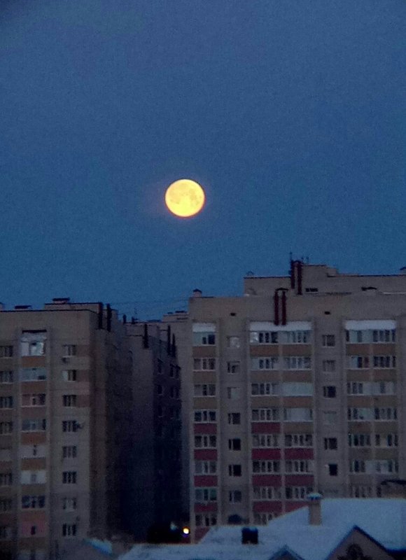 Луна - Анастасия Боровицкая