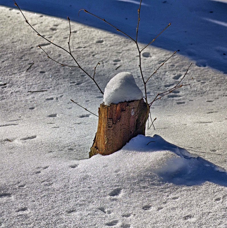 ... - юрий иванов