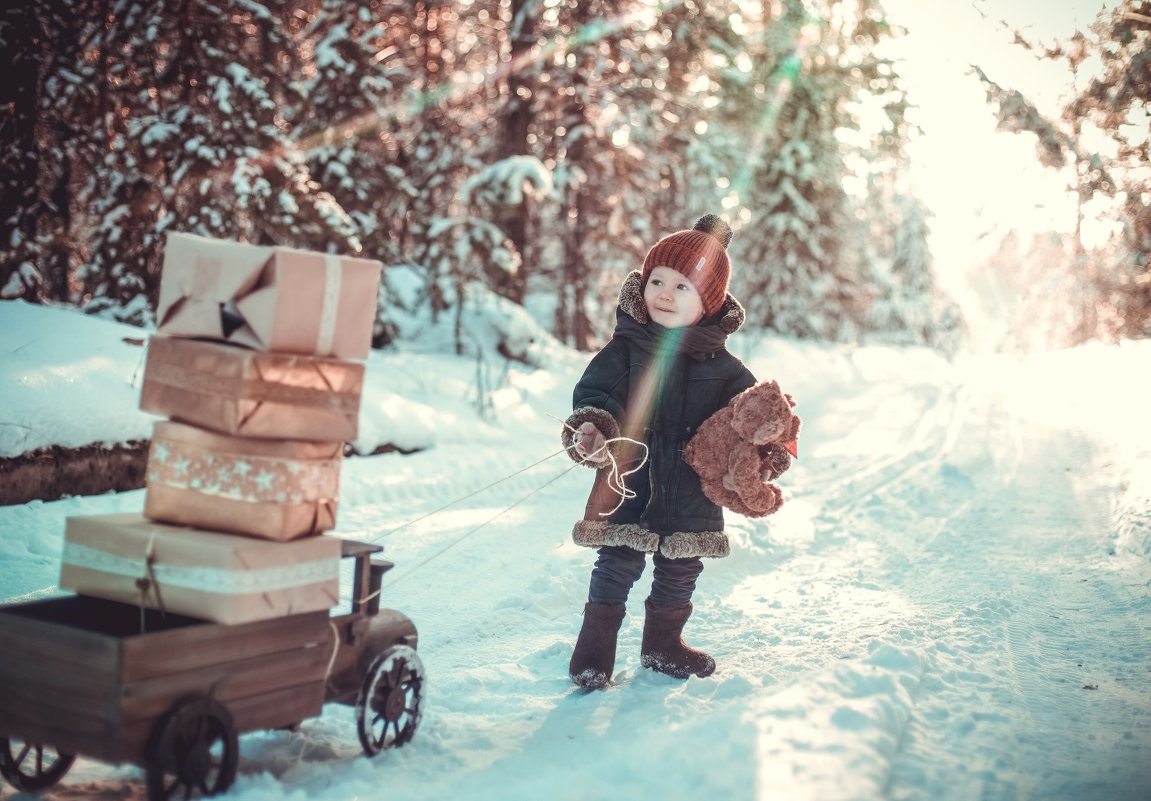 Из леса с подарками - Ольга Токмакова