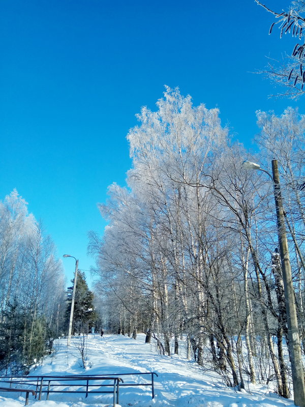 Краски зимы - Николай 