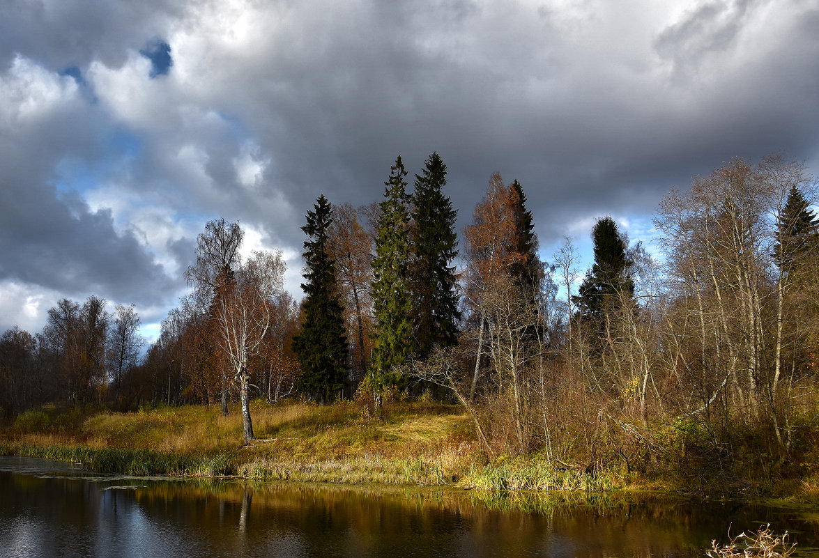 Осенний пейзаж - Oleg S 