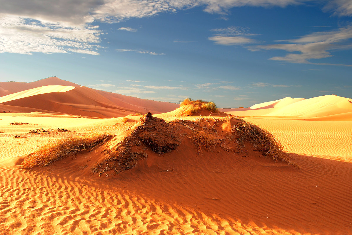 Фото пустыни Намиб