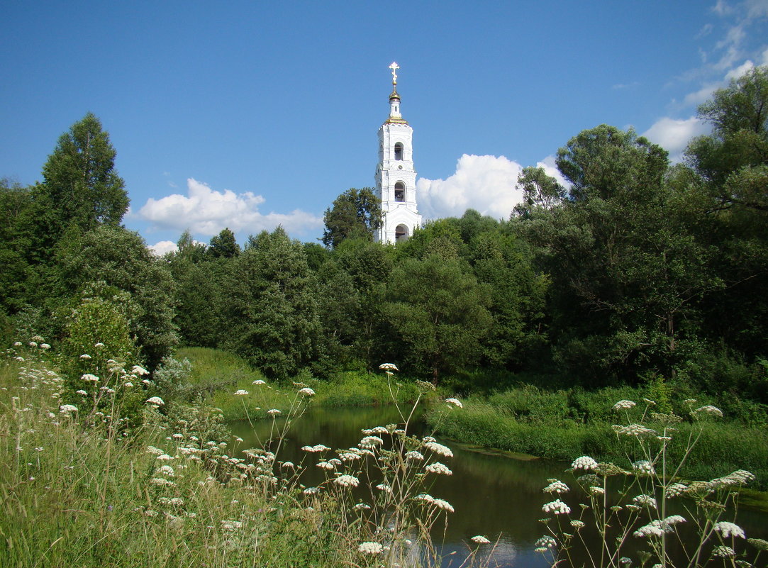 Вид на колокольню Николо-Берлюковского монастыря - Татьяна Георгиевна 