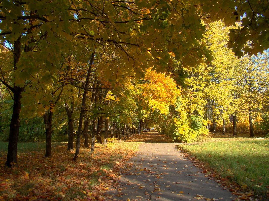 Осень в парке городском - Татьяна Георгиевна 