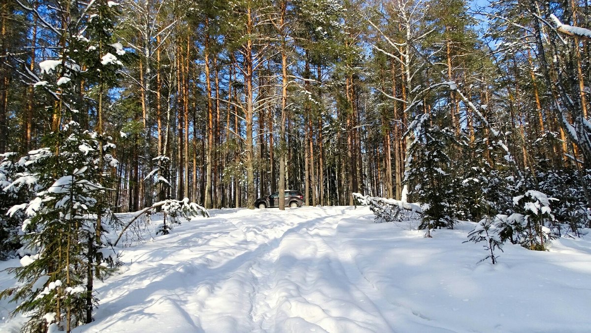Снежный февраль - Милешкин Владимир Алексеевич 