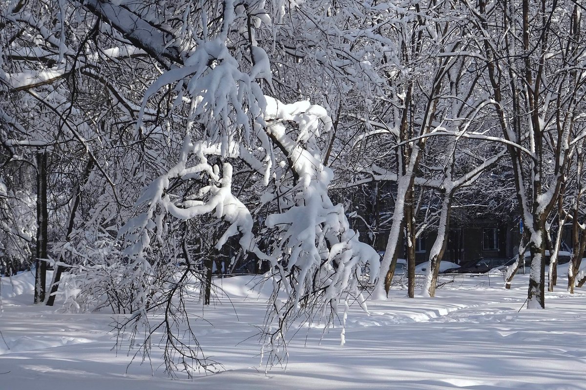 После снегопада - Ирина Via