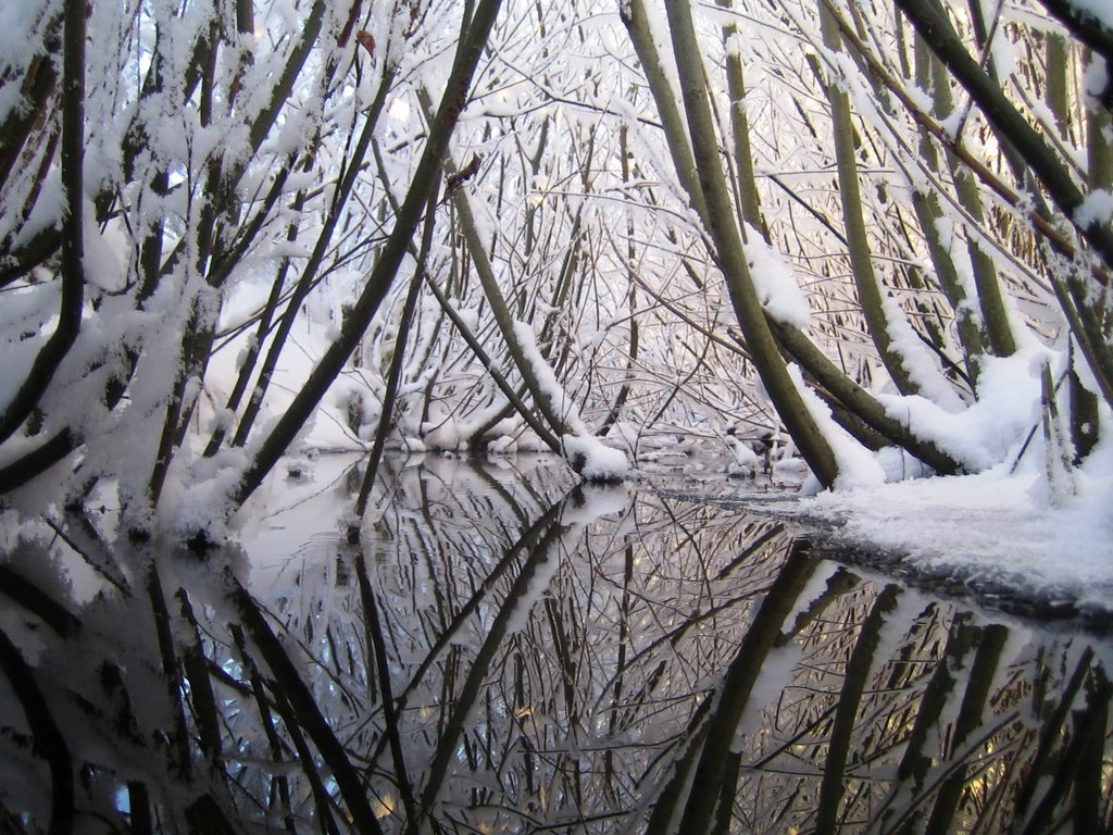 Зимняя сказка - ARFoto Astahova