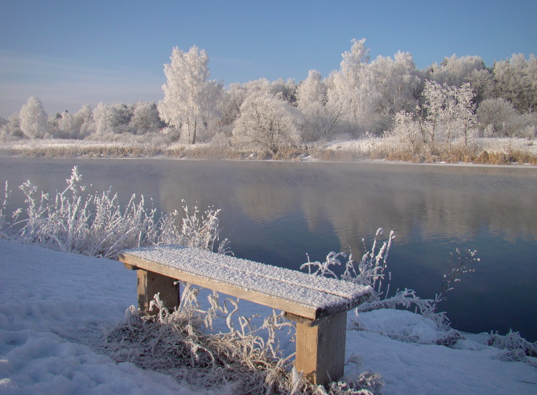 В морозный день у реки - Татьяна Георгиевна 