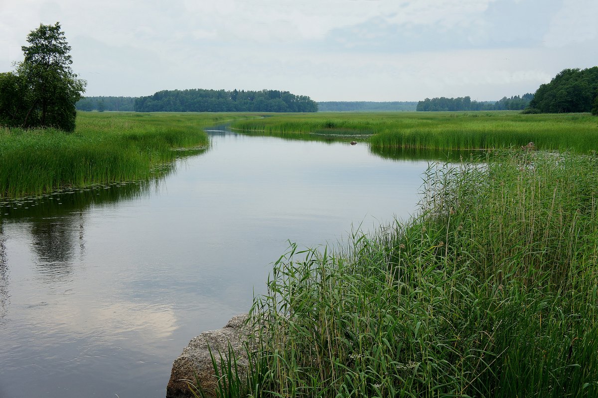 Выборгский залив Балтийского моря - Елена Павлова (Смолова)