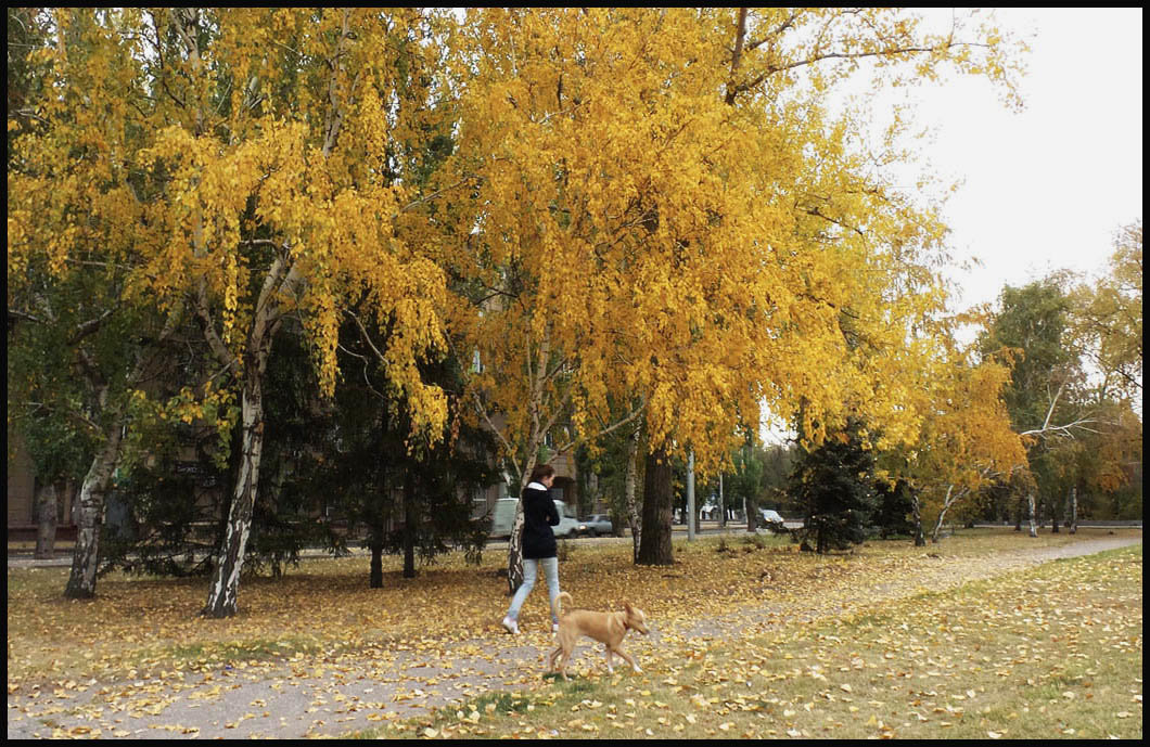 ФОТОГРАФИЧЕСКИЕ  НАСТРОЕНИЯ  ПРОШЕДШЕЙ  ОСЕНИ. - Юрий ГУКОВЪ