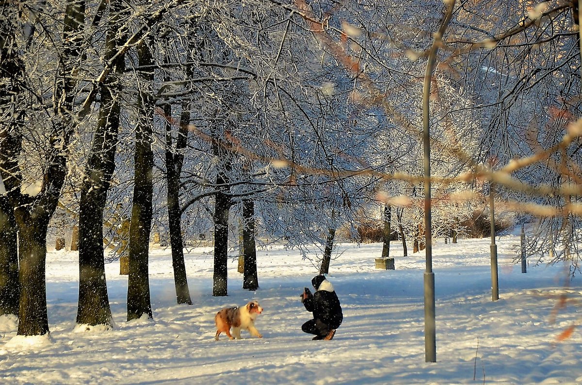 Внутри Зимней Сказки... - Sergey Gordoff
