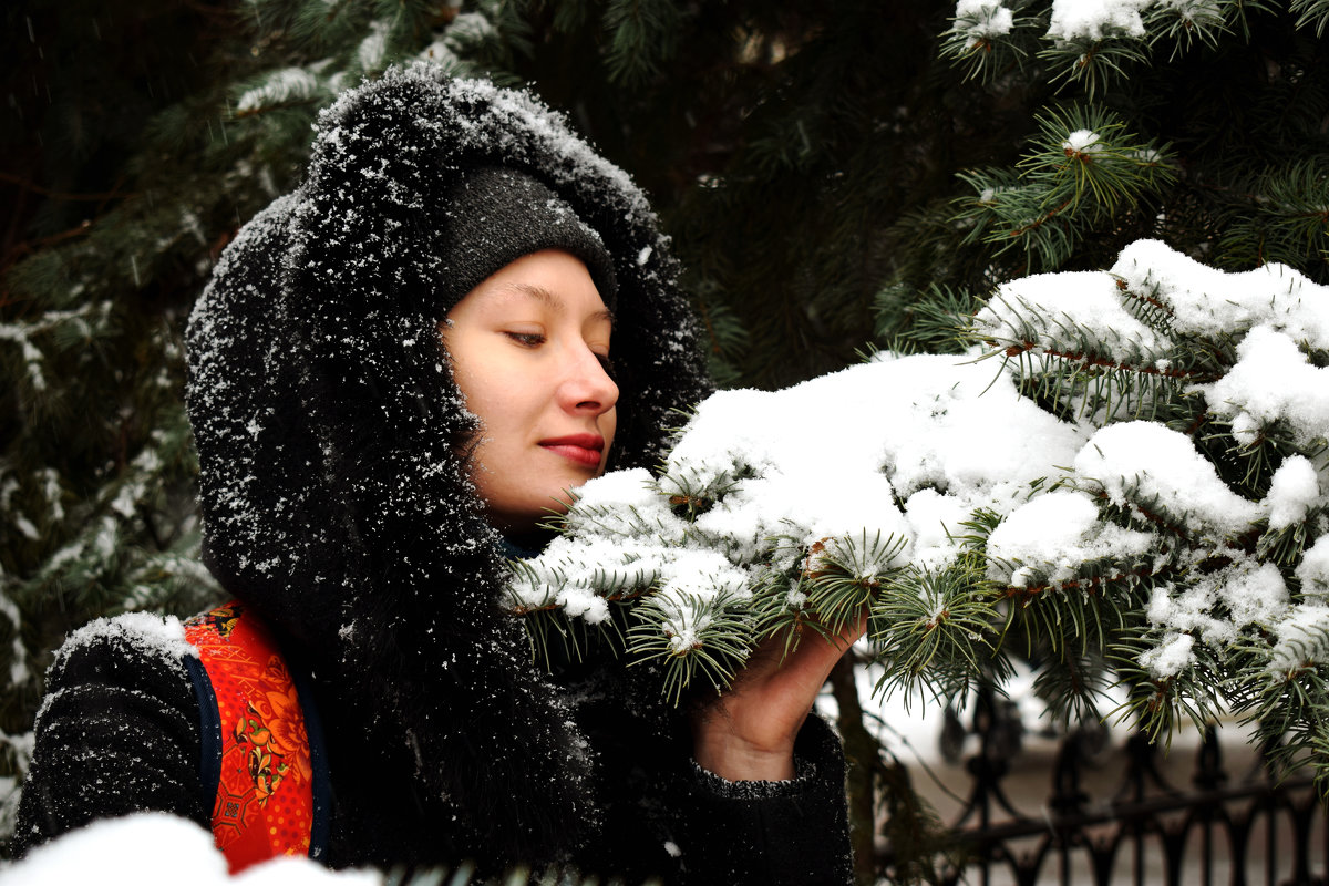 Снежный день - Ольга Бабичева