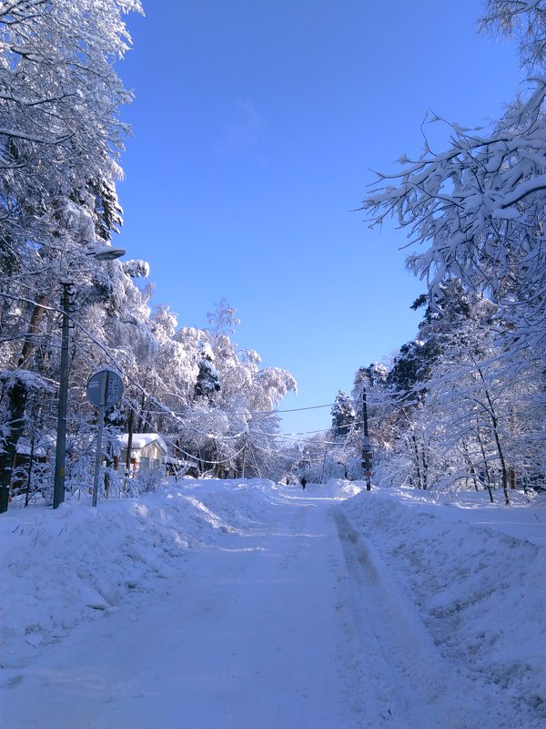 Зима в Клязьме - Аlexandr Guru-Zhurzh