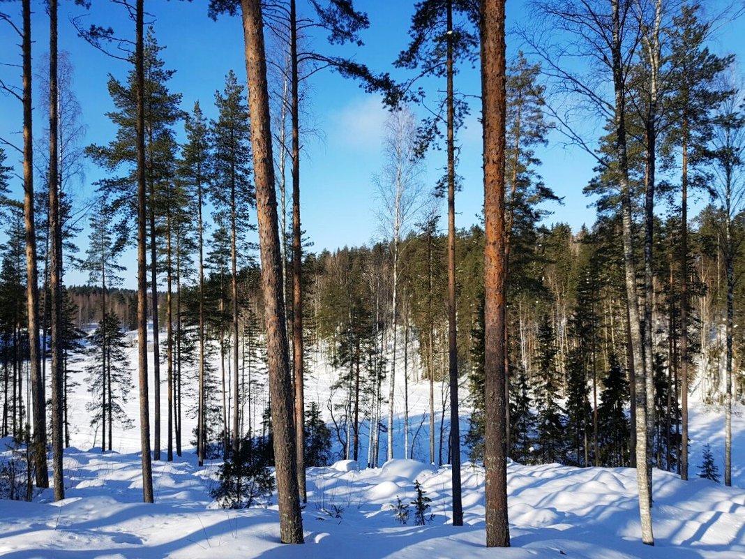 Зимний пейзаж - Сергей Б.