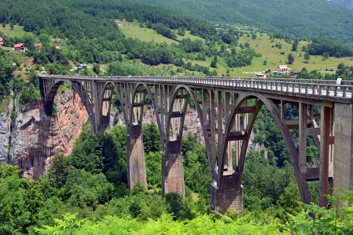 Мост Джурджевича - Ольга 