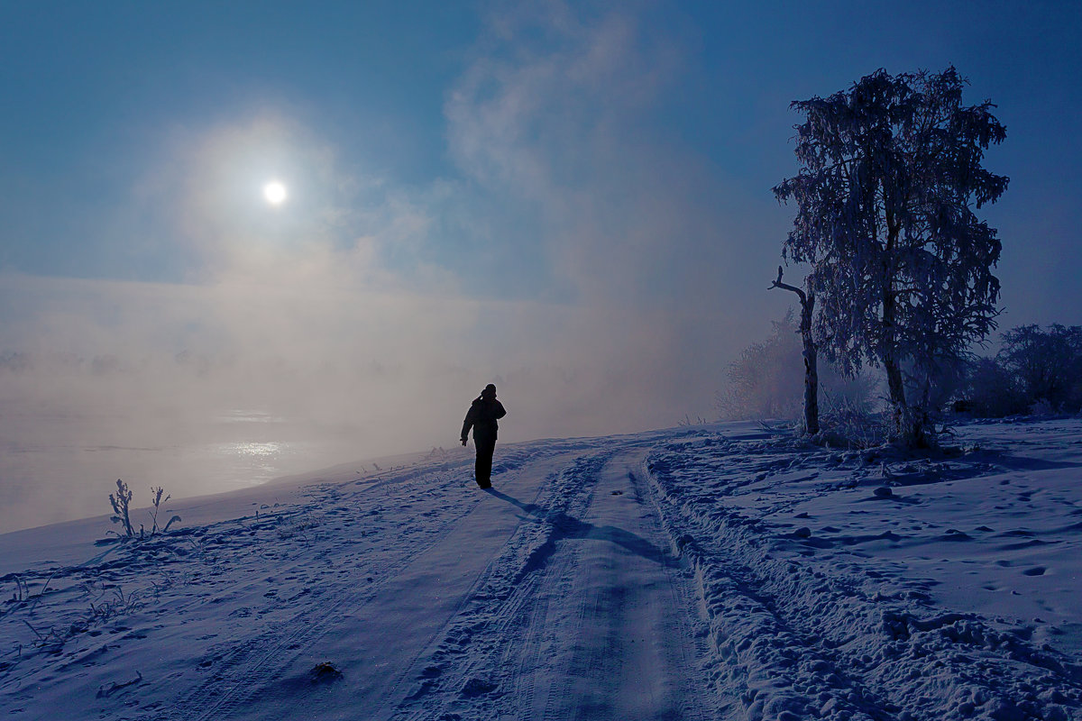 Прогулка в морозный полдень - Анатолий Иргл