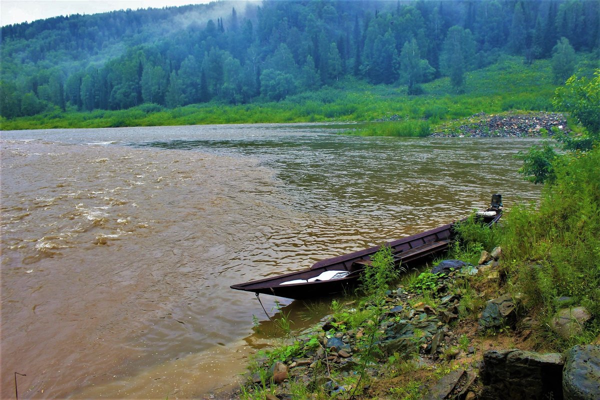 Летний паводок - Сергей Чиняев 