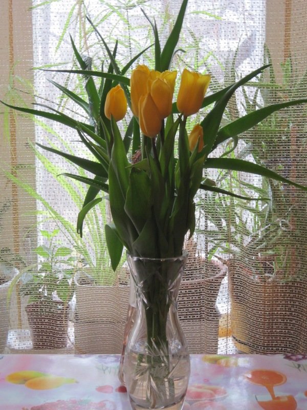 Букет тюльпанов жёлтых - Дмитрий Никитин