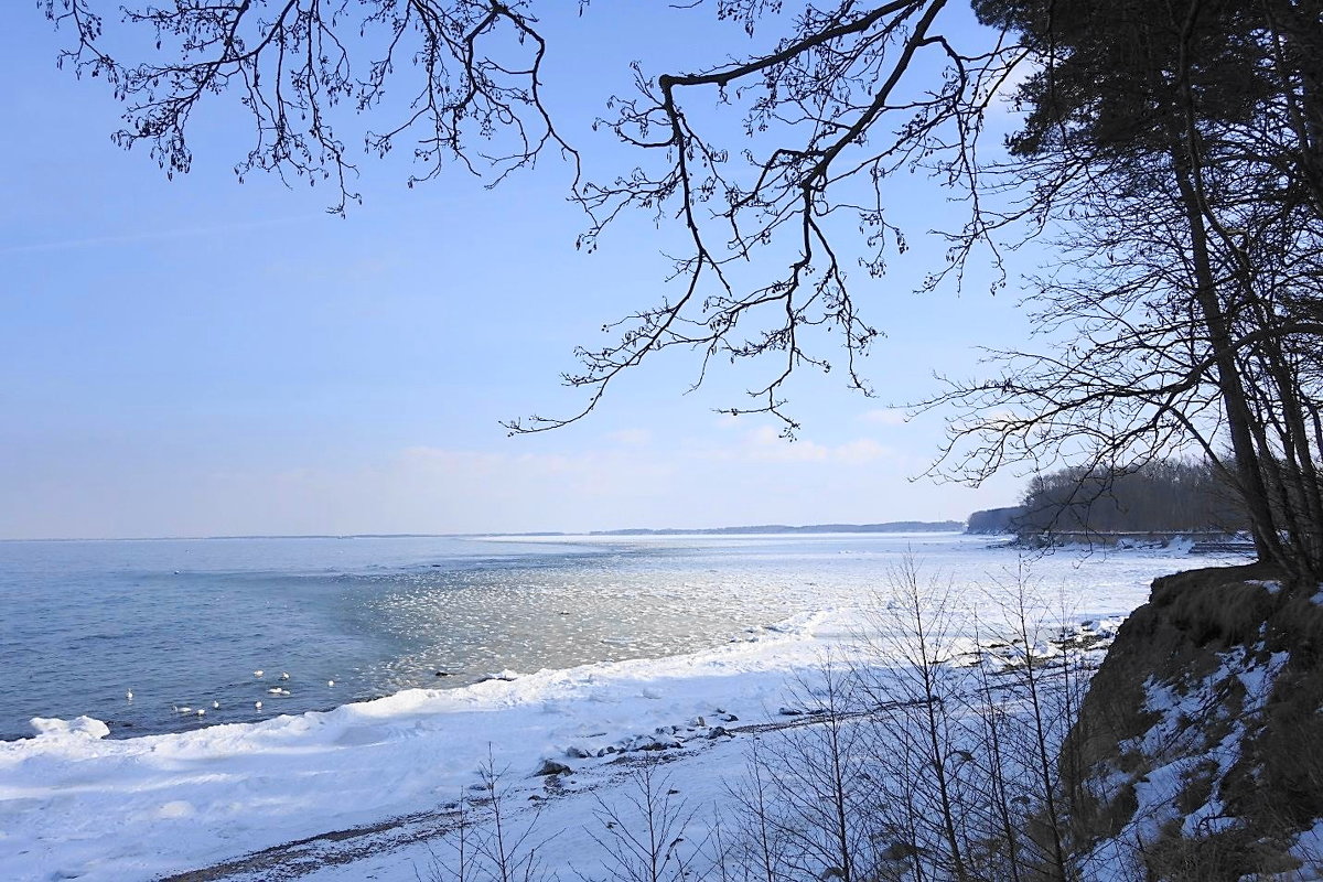 Балтийское море подморозило - Маргарита Батырева