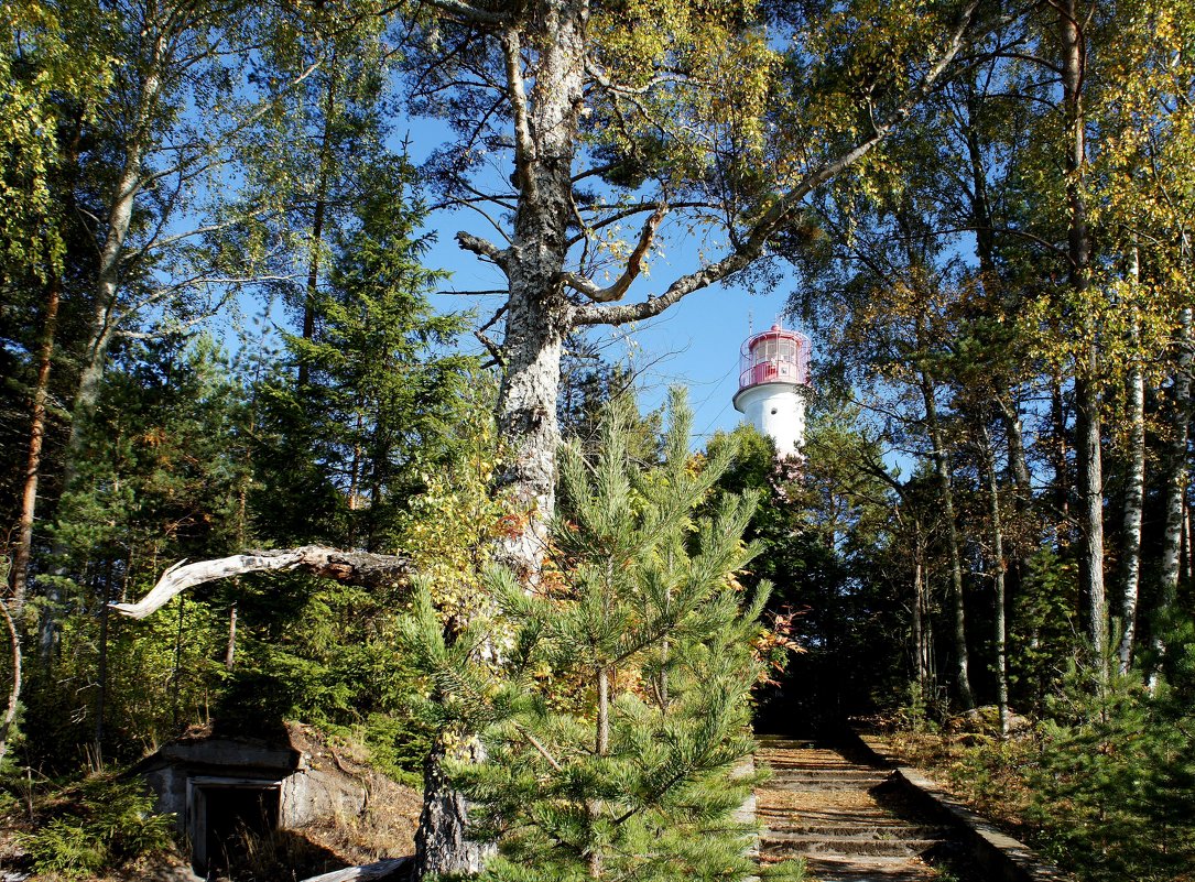 Старинный маяк Стирсудден - Елена Павлова (Смолова)