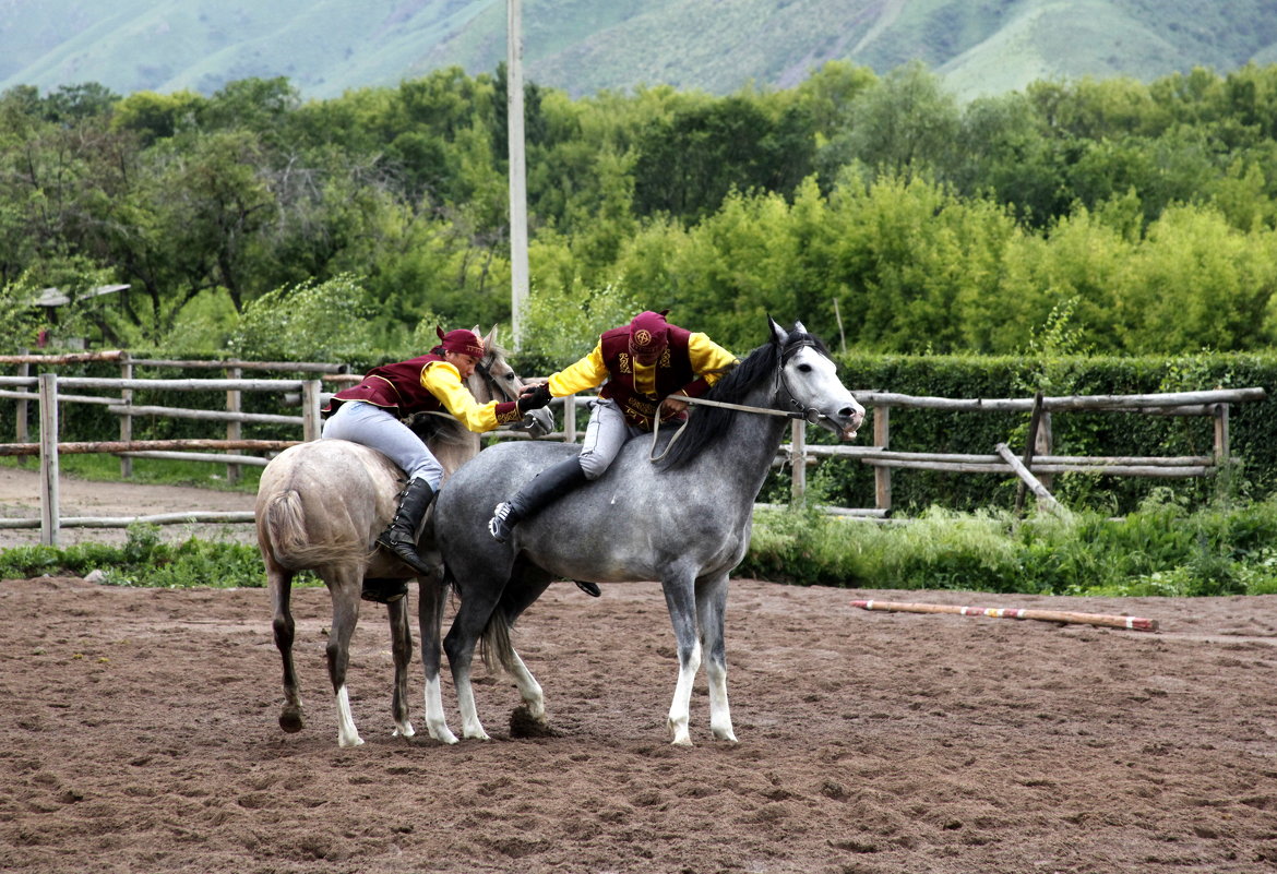 Борьба на лошадях. - Anna Gornostayeva