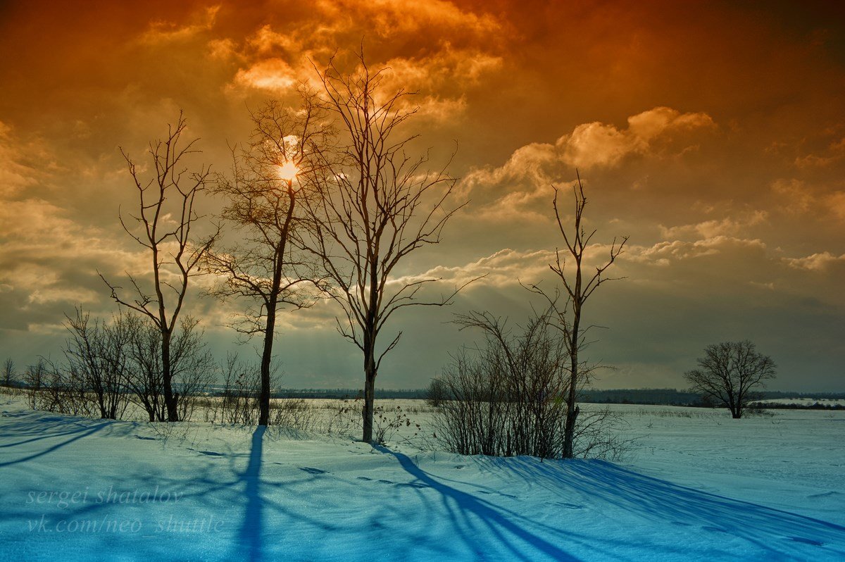 В зимний день на опушке леса - Сергей Шаталов