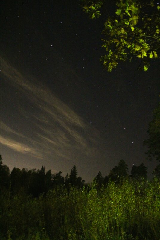 Звёзная ночь в лесу - Анатолий Кувшинов