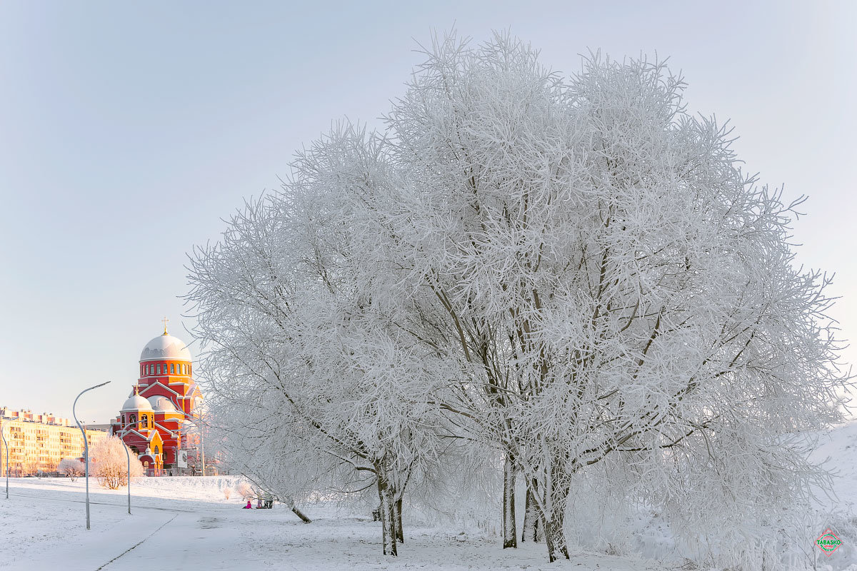 *** - Табаско Перчик