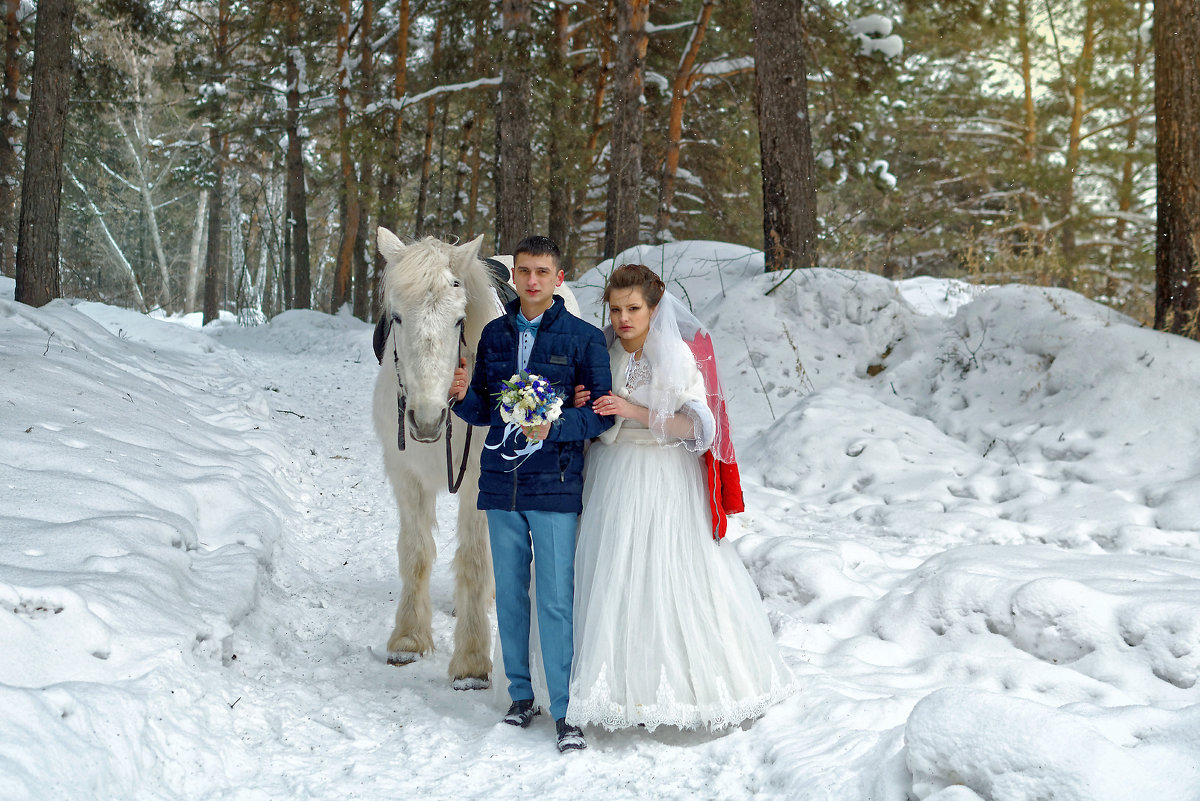Прелесть зимних свадеб - Дмитрий Конев