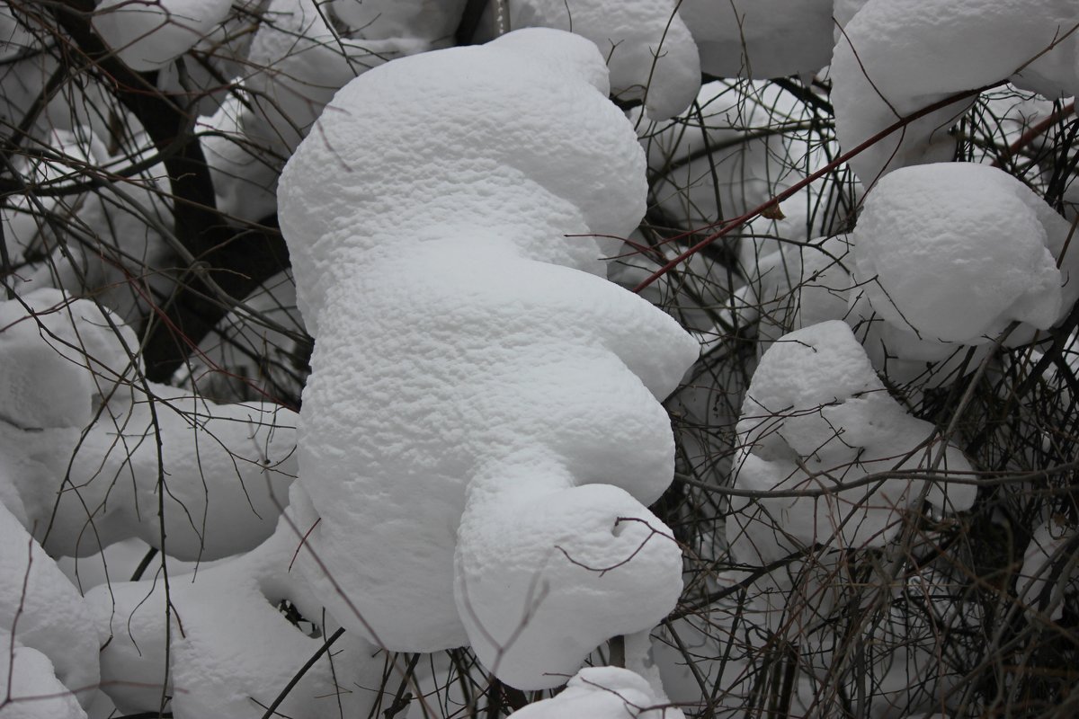 Снежный медвежонок - Марина Мишутина