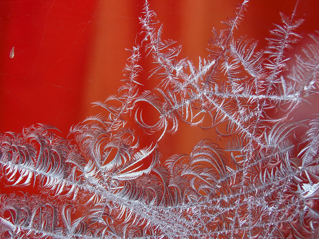Рисует узоры мороз на оконном стекле... - Наталья Ильина