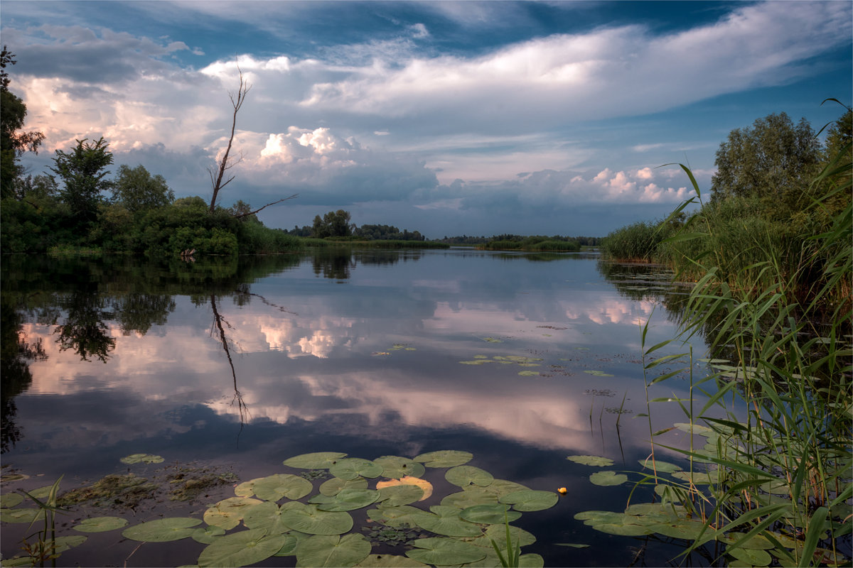 ... - Cлава Украине 