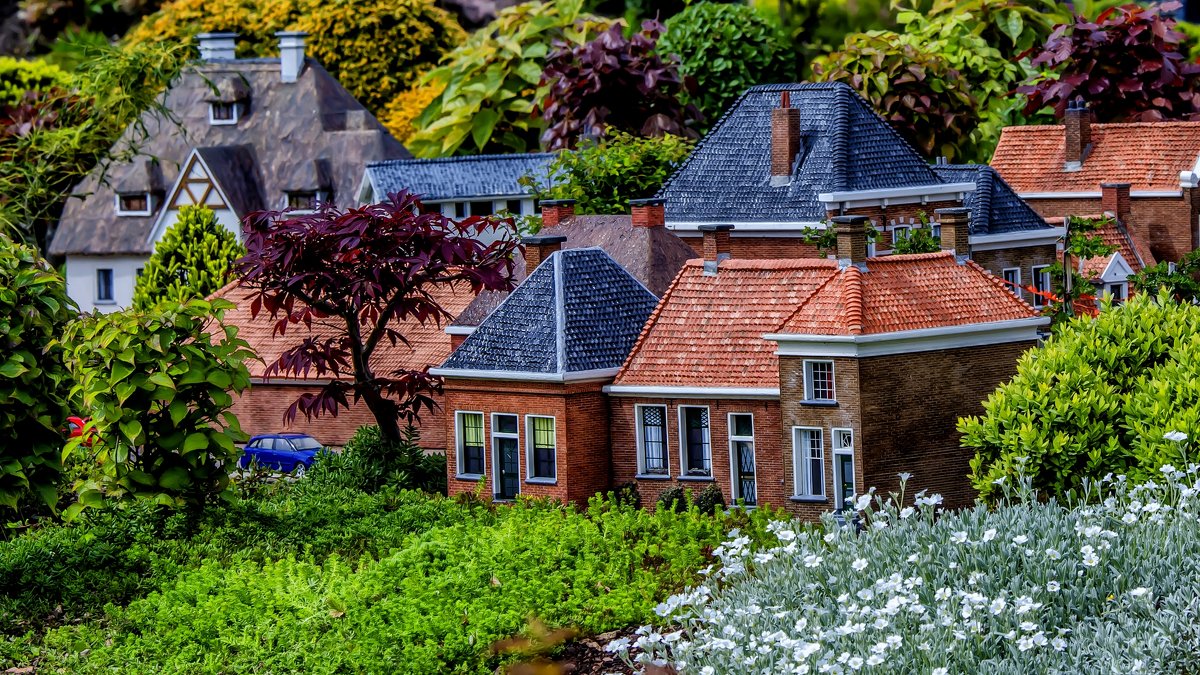 Spring in a miniature The Hague - Dmitry Ozersky