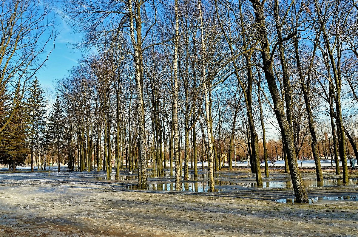 Весна пришла... - Sergey Gordoff