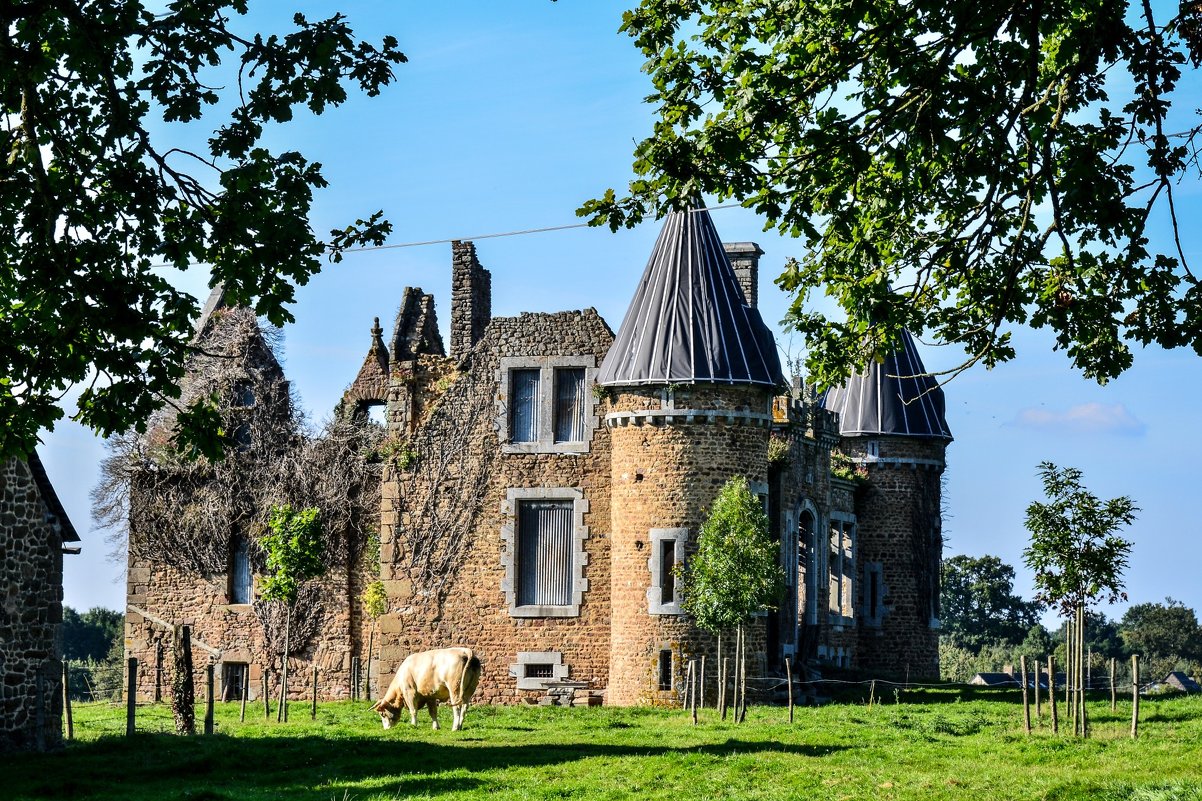 замок Буа-Тибо XV-XVI век (chateau du Bois-Thibault) - Георгий А
