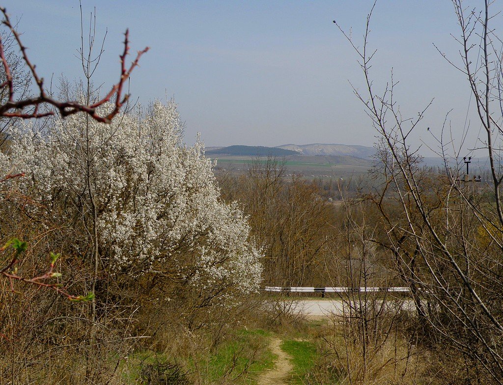 Весна в Белогорье - Александр Рыжов