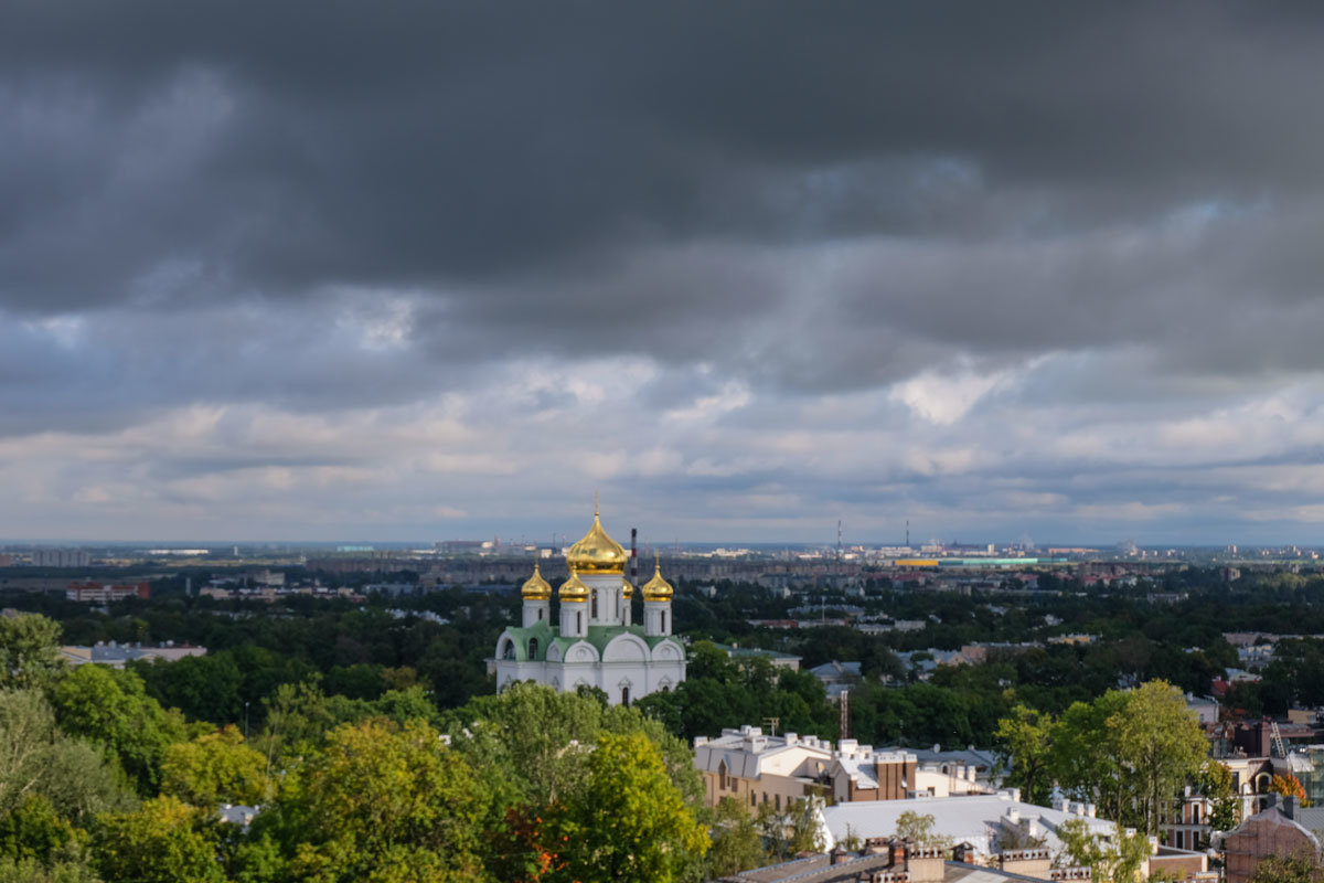 Город Пушкин со смотровой площадки Певческой башни - Надежда Лаптева